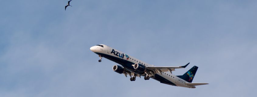 Azul 1